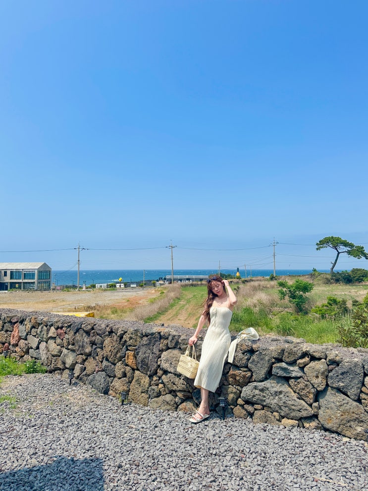  제주도 제주 혼자 뚜벅이 여행 코스 ️ 혼밥 혼술