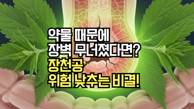  치명적인 장천공, 수술 없이 위험 낮추는 비결! 장벽 건강 '장누수' 관리와 약물 부작용 최소화 전략