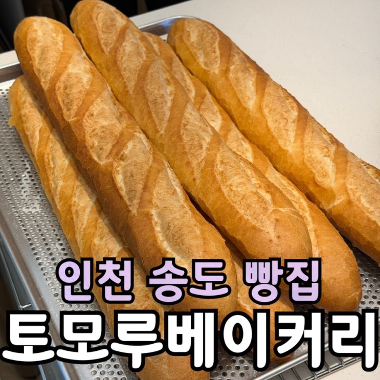  송도 빵집 토모루 베이커리 솔직 후기 | 소금빵·밤식빵·바게트 추천