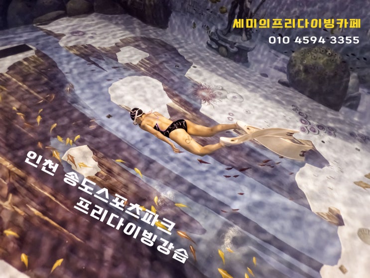  필리핀 보홀 가기전 인천/시흥 프리다이빙강습과 자격증과정(송도프리다이빙)