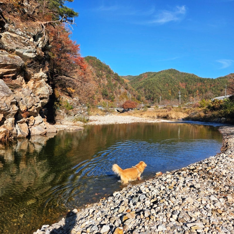 사진 3
