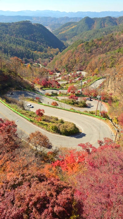 사진 5