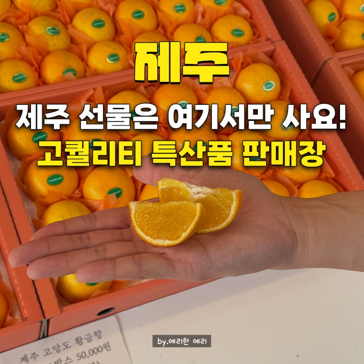  제주도 특산물 구매 중문농수산물직판장｜제주도 황금향 택배 제주산 은갈치 택배 선물 추천