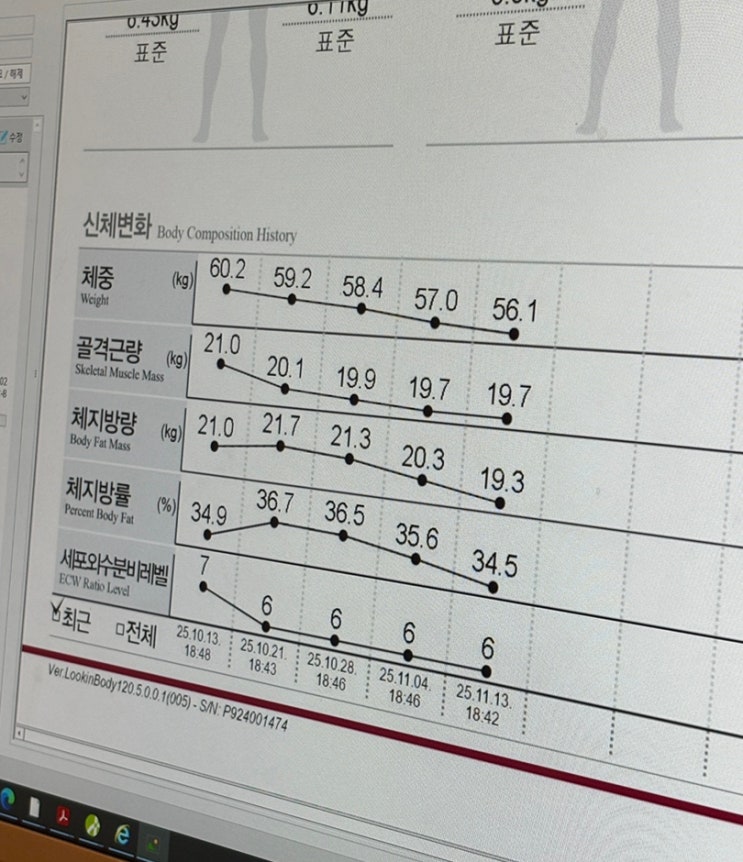  신사지방분해주사 5번째 팔 관리 + 복부 추가 후기