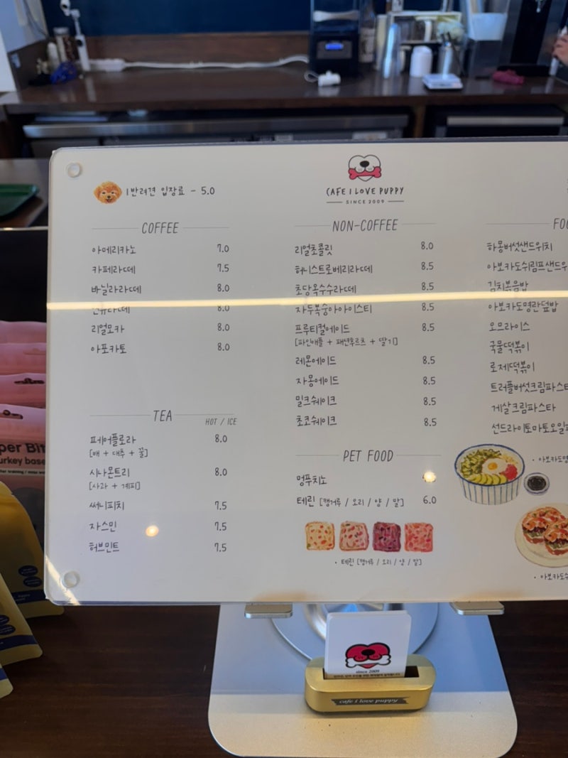 사진 5