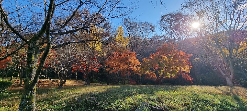 금산사 야영장 사진 1