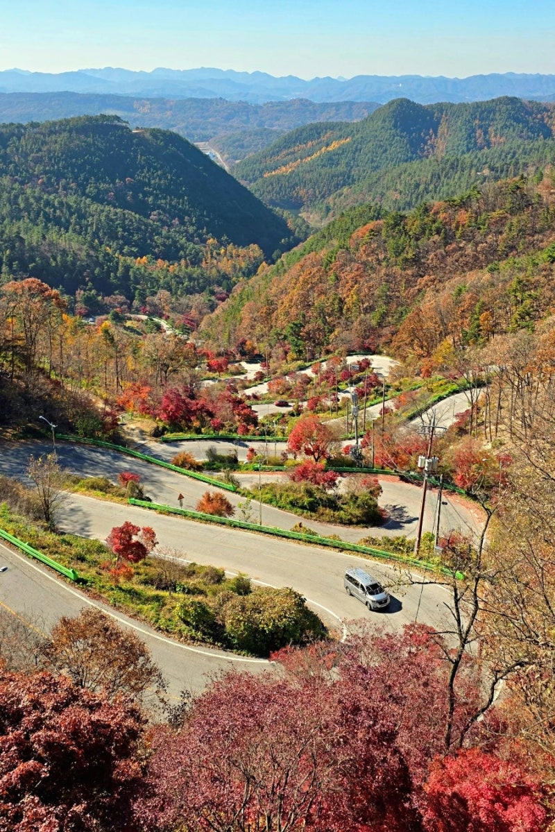 사진 4