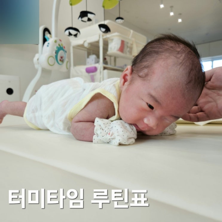  터미타임 루틴표