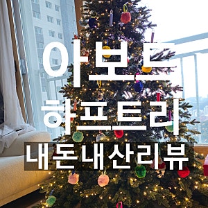 아보드 하프트리 _ 내돈내산 후기