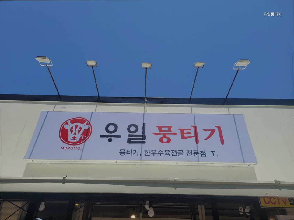 우일뭉티기 사진 2