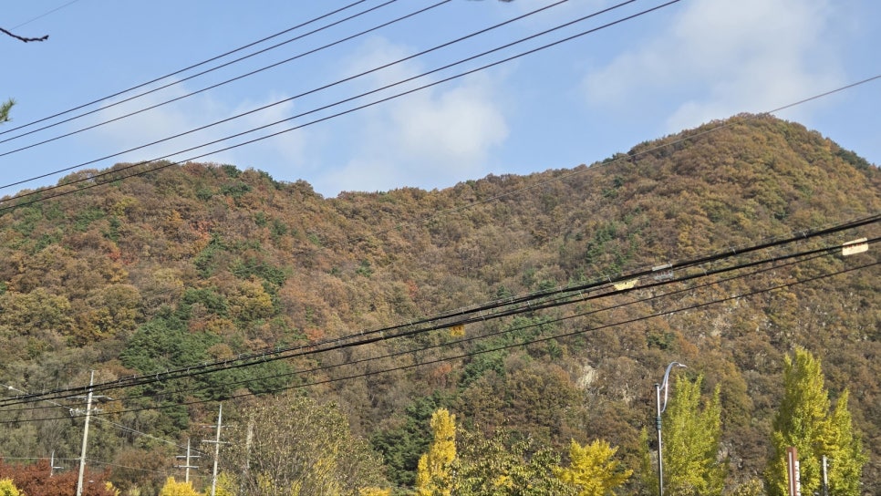 대왕성 사진 4