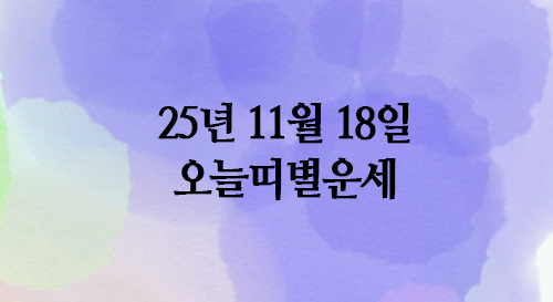  오늘띠별운세 : 2025년 11월 18일 화요일,오늘의 운세