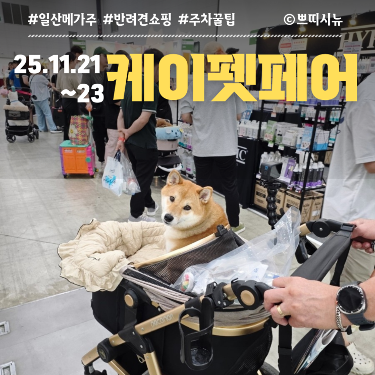  2025 메가주 일산 케이펫페어 필수 정보: 주차·쇼핑 전략 한 번에 정리