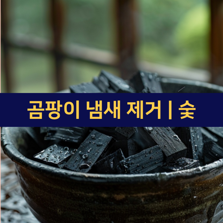  집 안 곰팡이 냄새 제거 방법 | 숯으로 곰팡이 냄새 제거 | 숯 효능