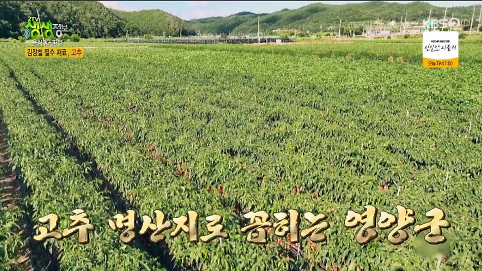 삼막골 사진 5