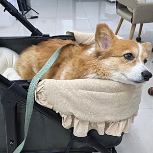 강아지 유모차 방석 라이너 애견 쿠션으로 편한 사용감
