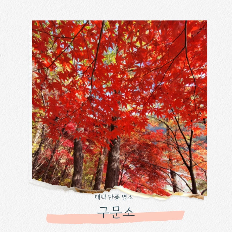 태백 단풍 명소 구문소 계곡 폭포 절경에 반하다