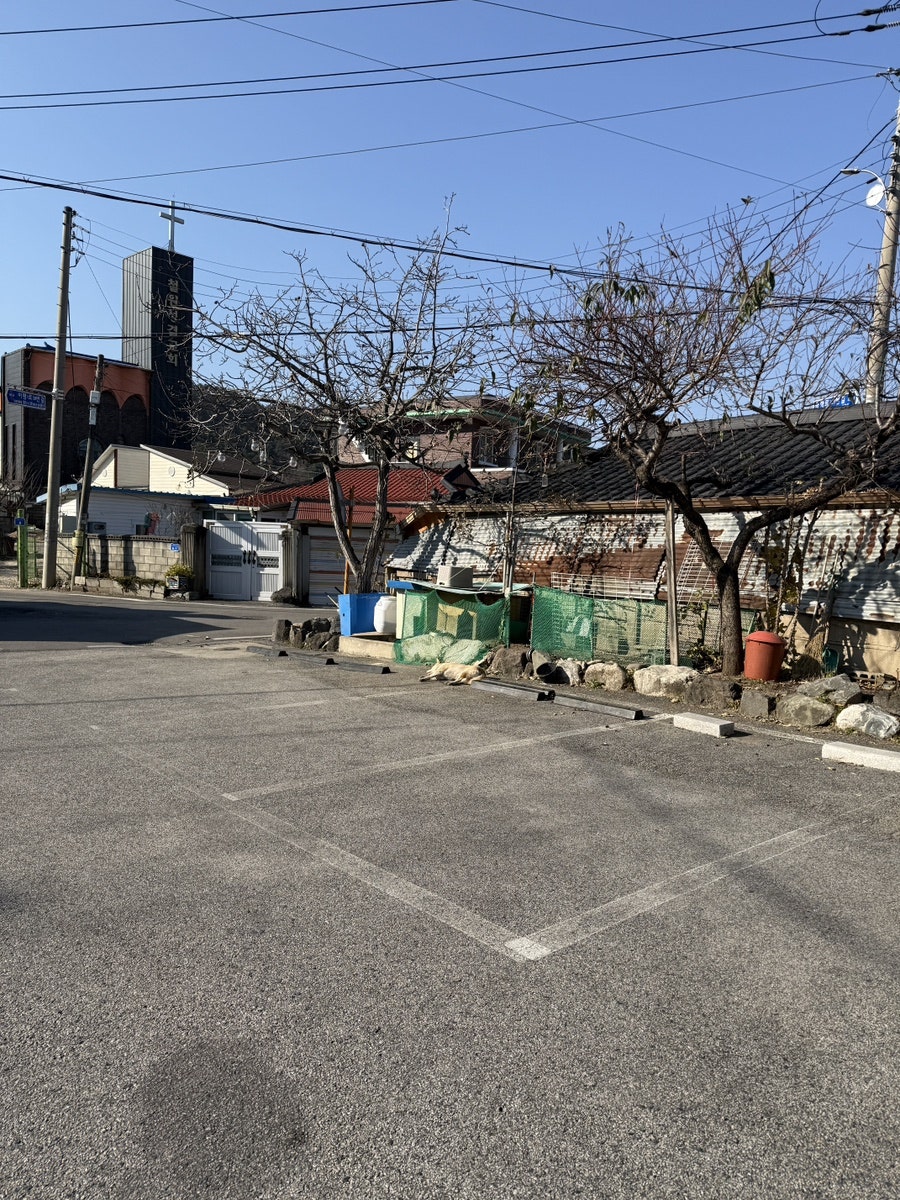 철원오리명가 사진 3