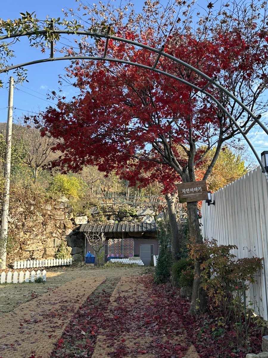 자연이야기 사진 5
