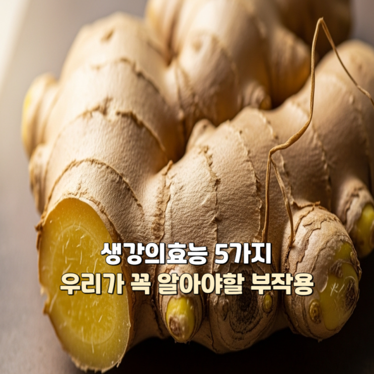  생강의효능 5가지, 우리가 꼭 알아야할 부작용
