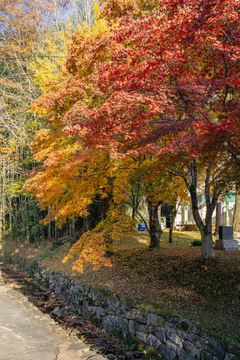 사진 8