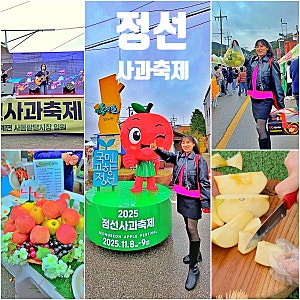 정선 사과축제 2025 강원도축제 시식 체험 먹거리 후기 (임계사과축제)