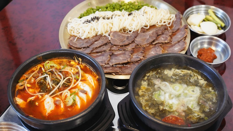  50년 손맛 그대로! 해장국 하나로 종각역맛집 점심을 뒤집어 놓은 이복희해장 종로점
