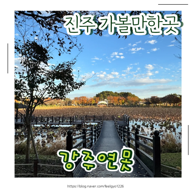  진주 가볼만한곳 강주연못 단풍명소 아이와 걷기 좋은 가을 산책코스