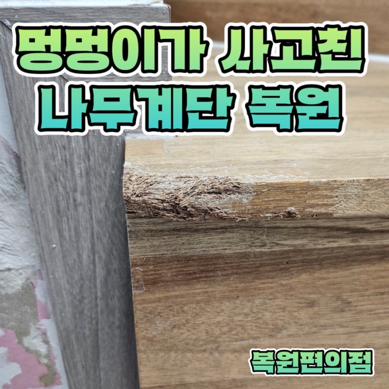 사진 4