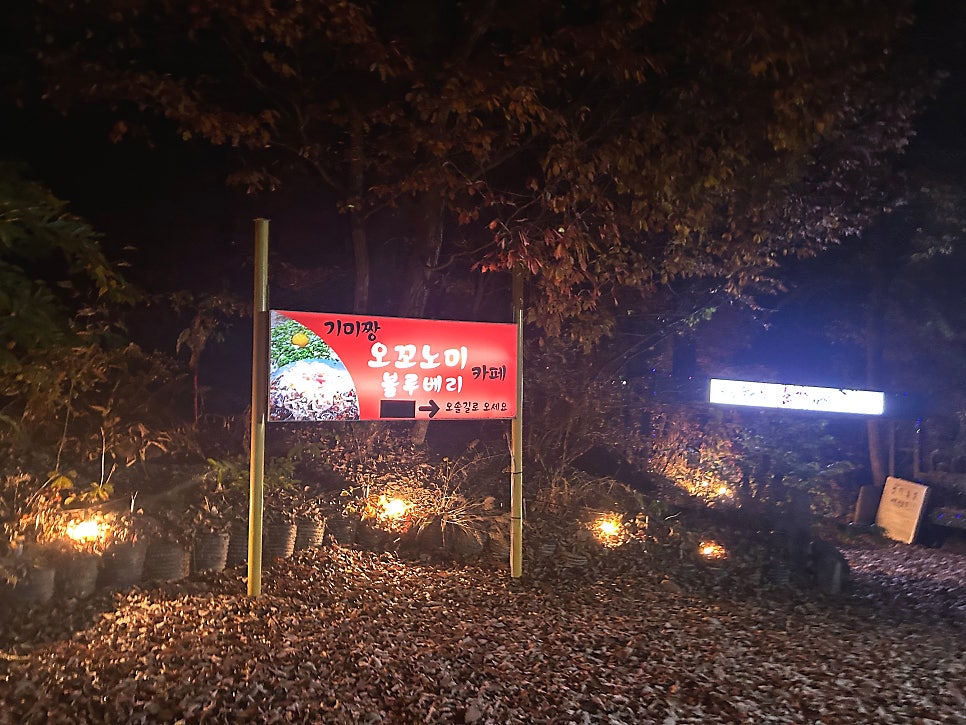 기미짱오꼬노미카페 사진 3