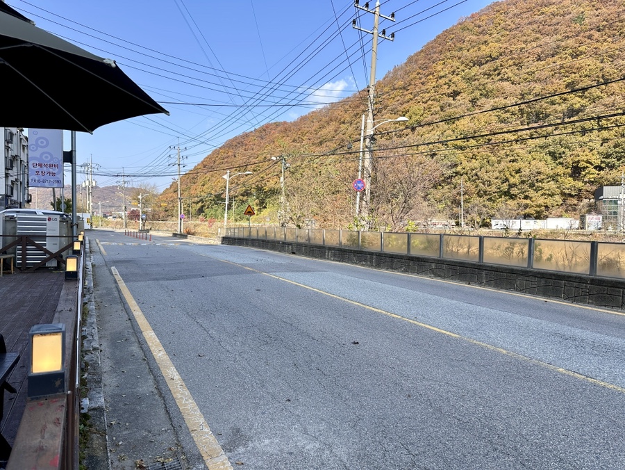 곤지수구레 사진 3