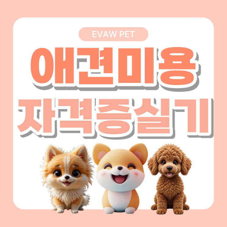  애견미용자격증실기 실전시험처럼 모의고사 진행하는 학원추천