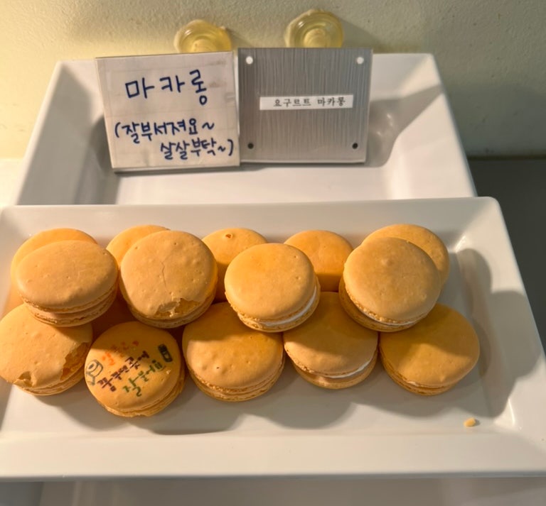 All-you-can-eat tonkatsu lunch at Sweet & Cutlet at Seoul Children's Grand Park Station 6