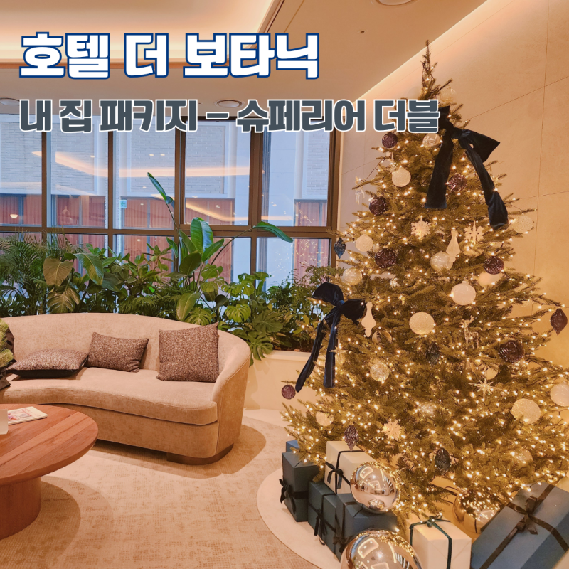 서울 명동 호텔 추천 더 보타닉 오늘은 여기가 내 집 패키지 국내 가성비 호캉스 후기