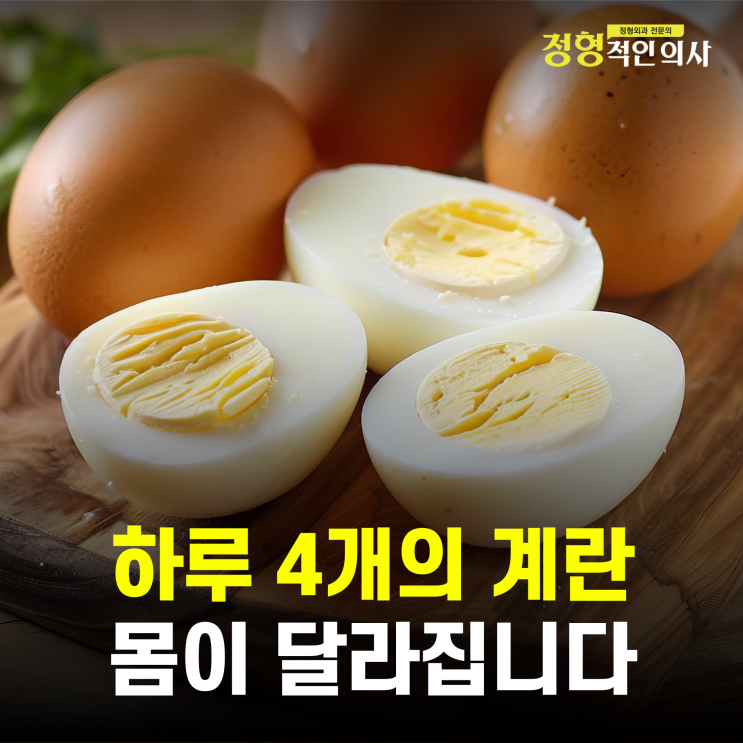  하루 4개의 계란, 몸이 달라집니다 — 단백질 그 이상의 이유  (의사작성)