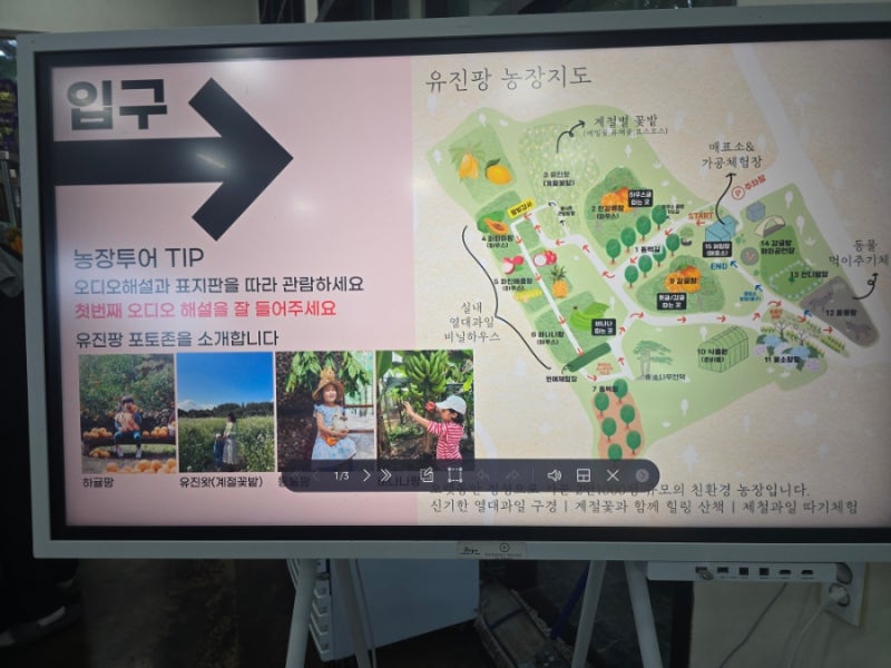 사진 2