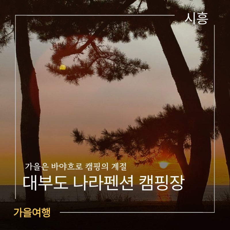 대부도 애견 동반 캠핑장 나라펜션캠핑장 a6 노을 명소에서 당일치기 캠핑 후기 갯벌 체험 가....