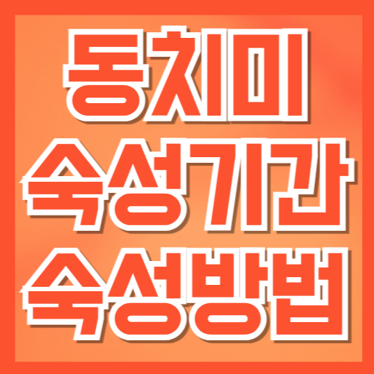  동치미 숙성 방법 완벽 가이드: 시원하고 아삭한 맛을 위한 비결