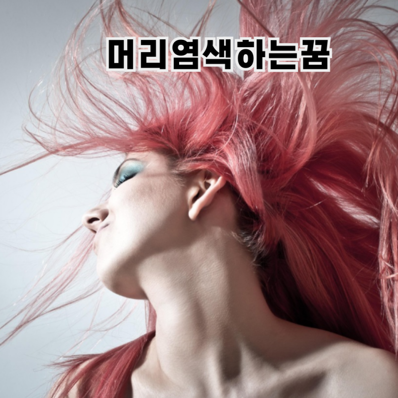 머리 염색하는 꿈 염색에 실패하는 꿈 풀이