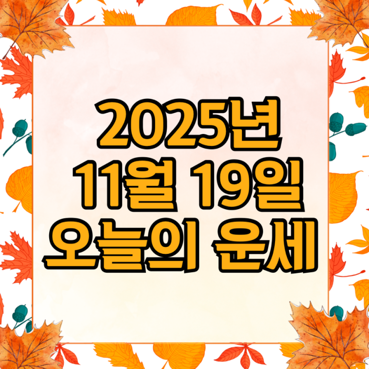  2025년 11월 19일 운세 오늘의운세 띠별운세