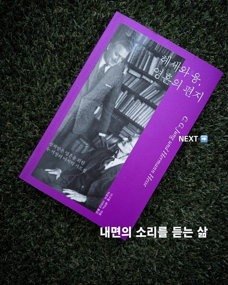  헤세와 융, 영혼의 편지