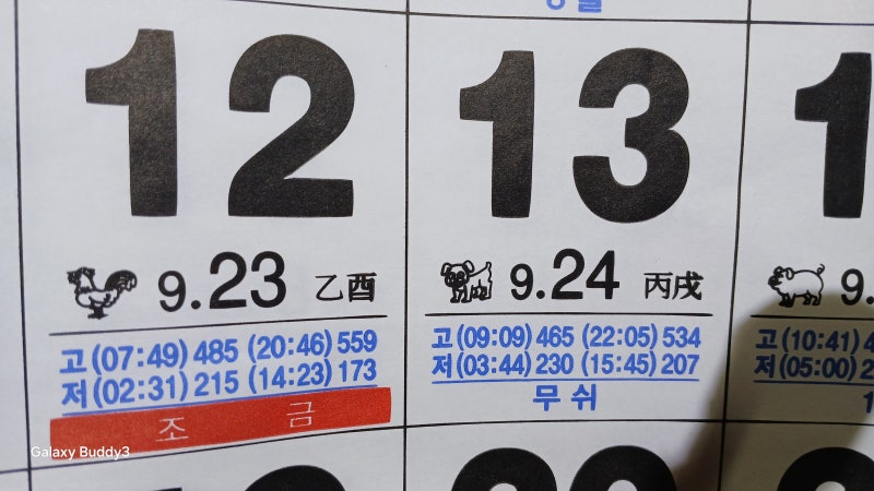 사진 3