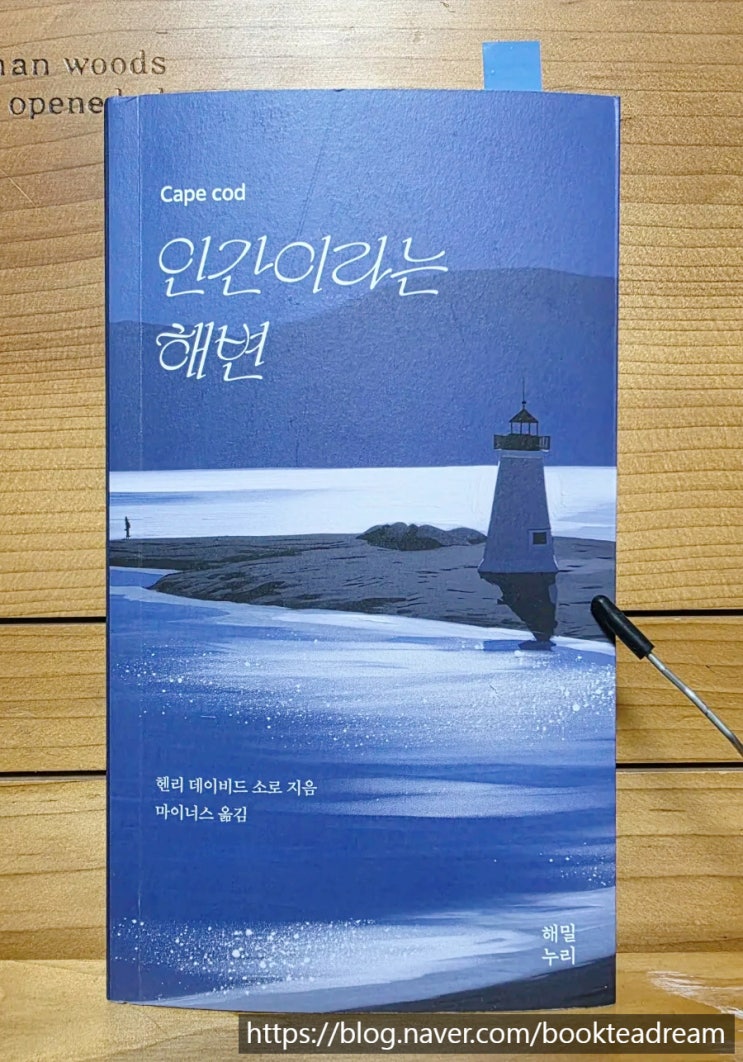  [서평] 인간이라는 해변 - 바다가 열어주는 인간 존재의 고찰
