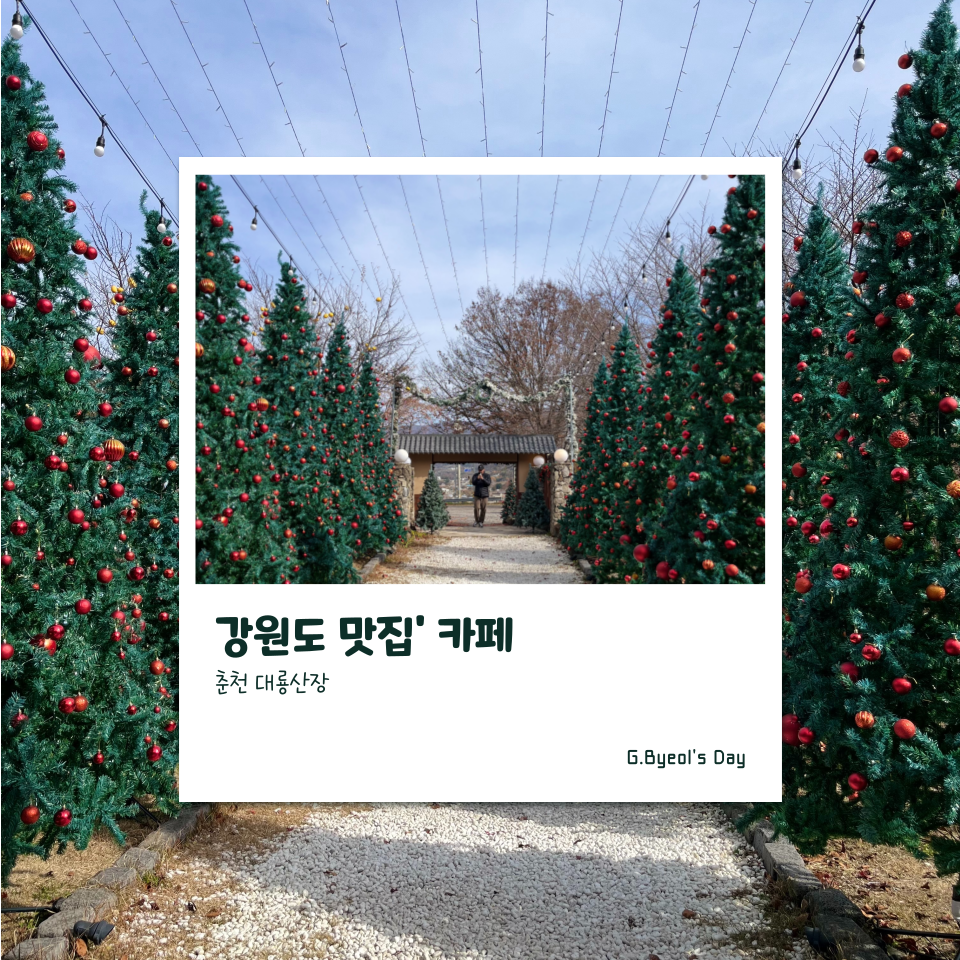숲속의쉼터 사진 1