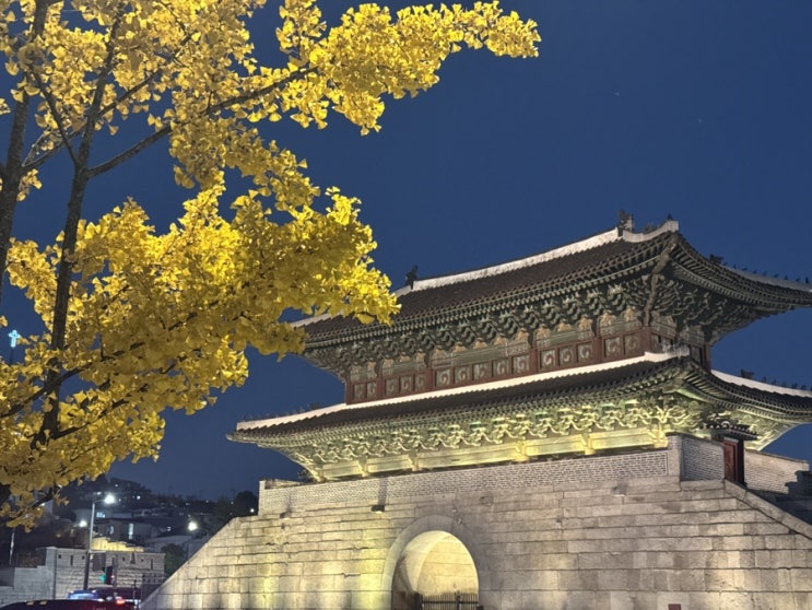 단풍놀이