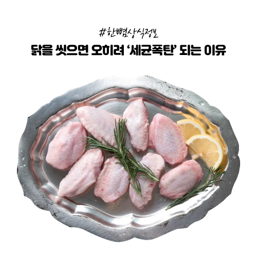  [한뼘상식] 생닭 손질 절대 씻지 마세요! 주방 전체가 오염되는 과학적 이유