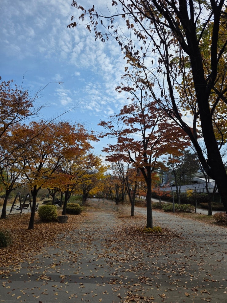  갤러리아백화점 광교점(베테랑칼국수,한입소반,겐트/호수공원의 가을정취)