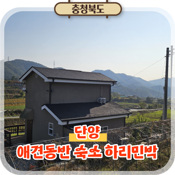  단양 애견동반 숙소 추천 4인 독채 펜션 하리민박 후기
