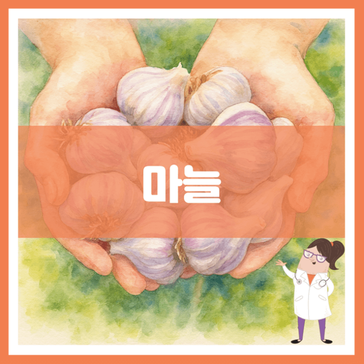  마늘 효능 영양성분 부작용