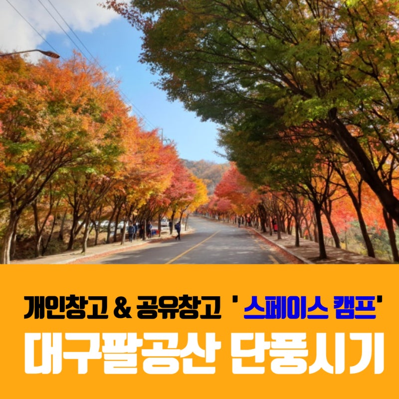대구팔공산 단풍시기 드라이브 지금 당장 떠나자